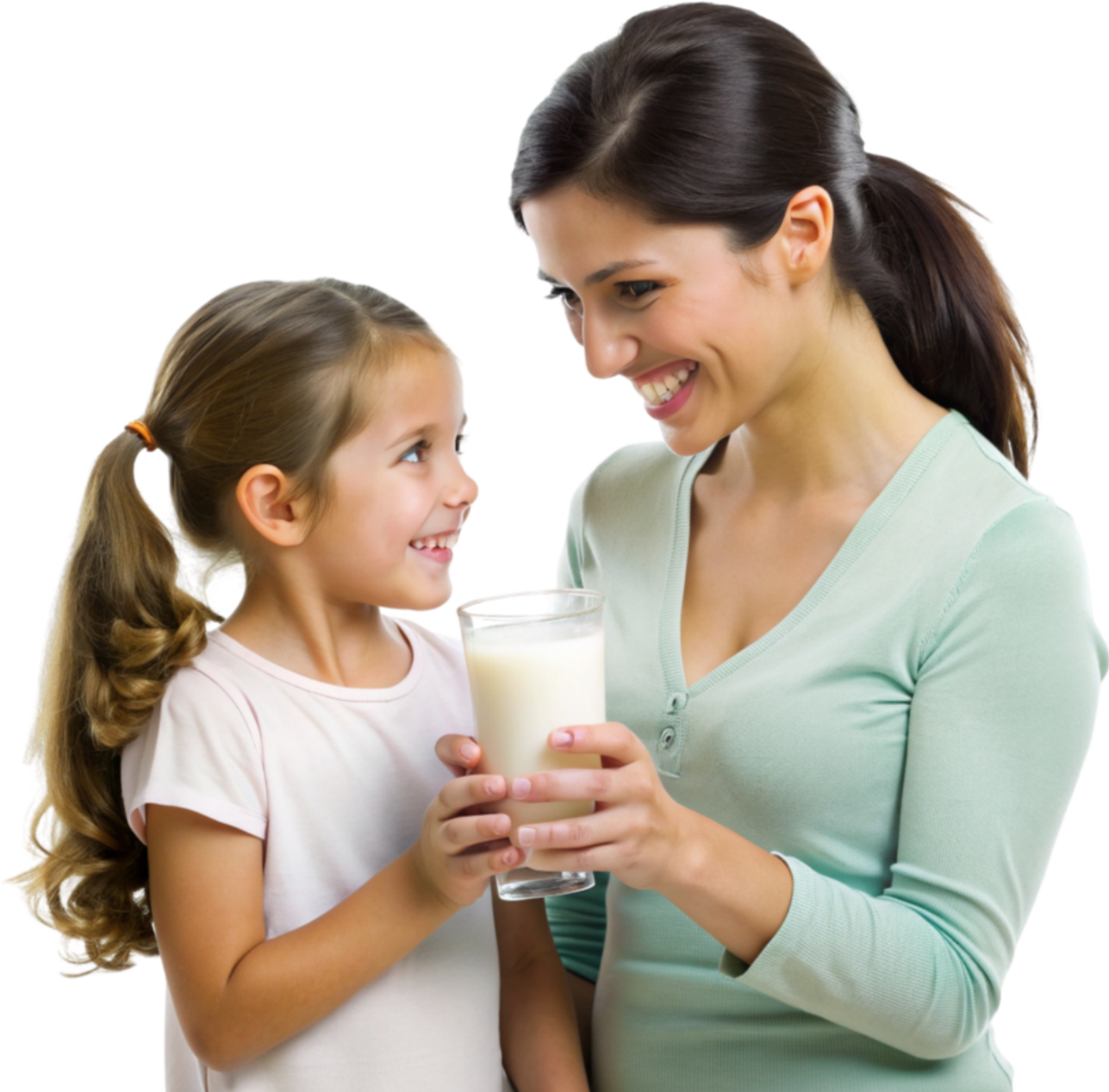Schnel Dairy Engineering